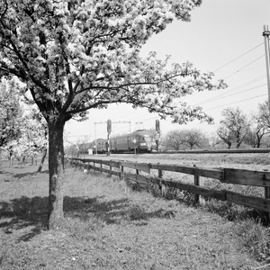 151014 Afbeelding van een electrisch treinstel mat. 1946 van de N.S. in een landschap met bloeiende bomen ter hoogte ...